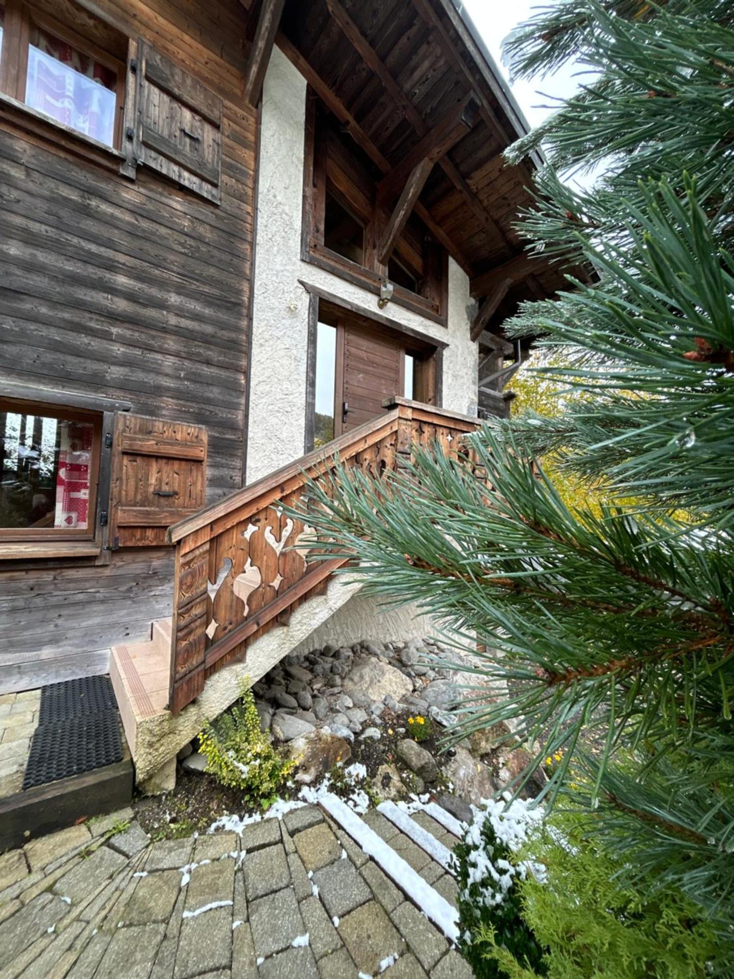 Chalet Adonis - Montriond, Morzine, Avoriaz Buitenkant foto