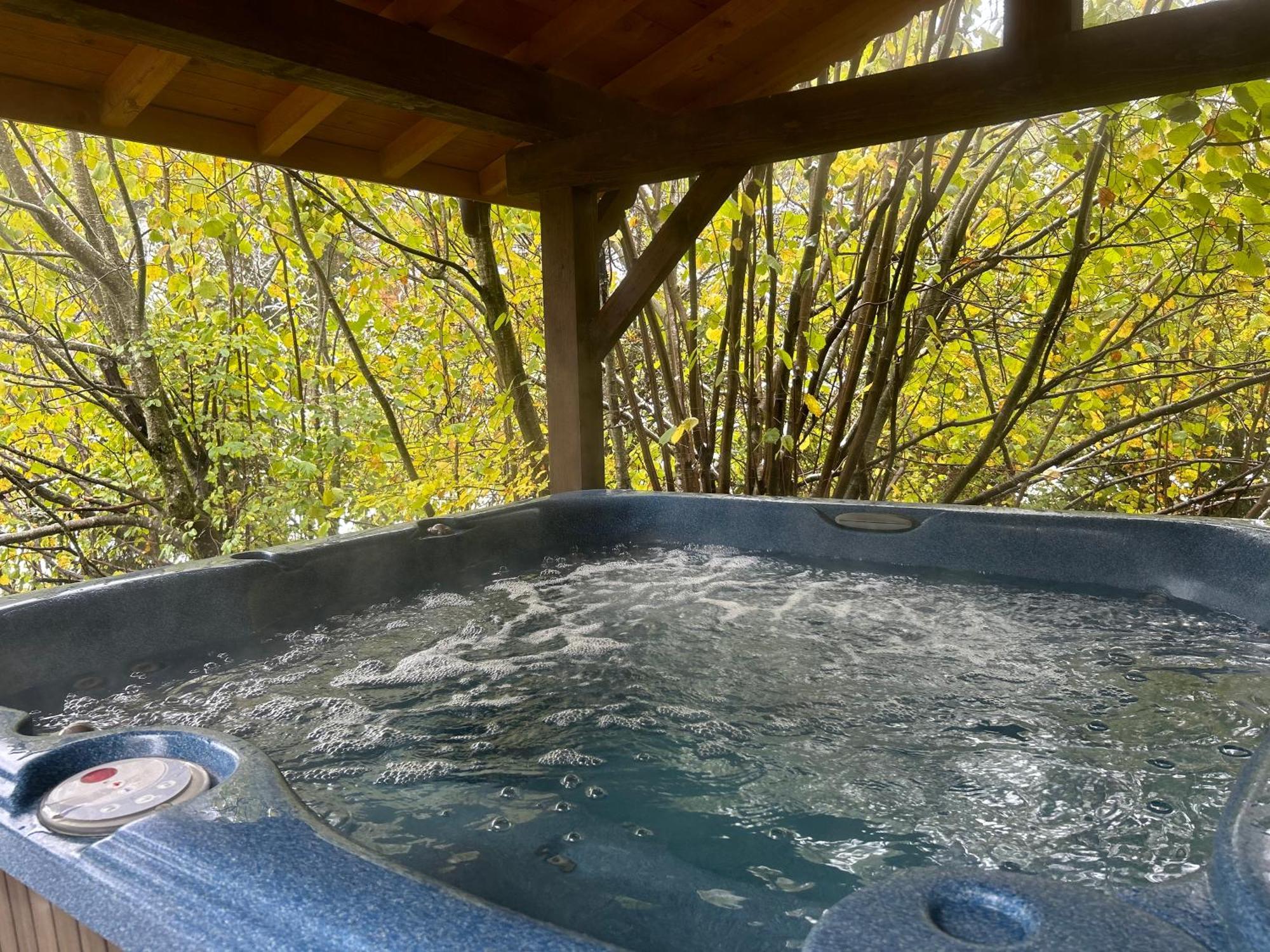 Chalet Adonis - Montriond, Morzine, Avoriaz Buitenkant foto